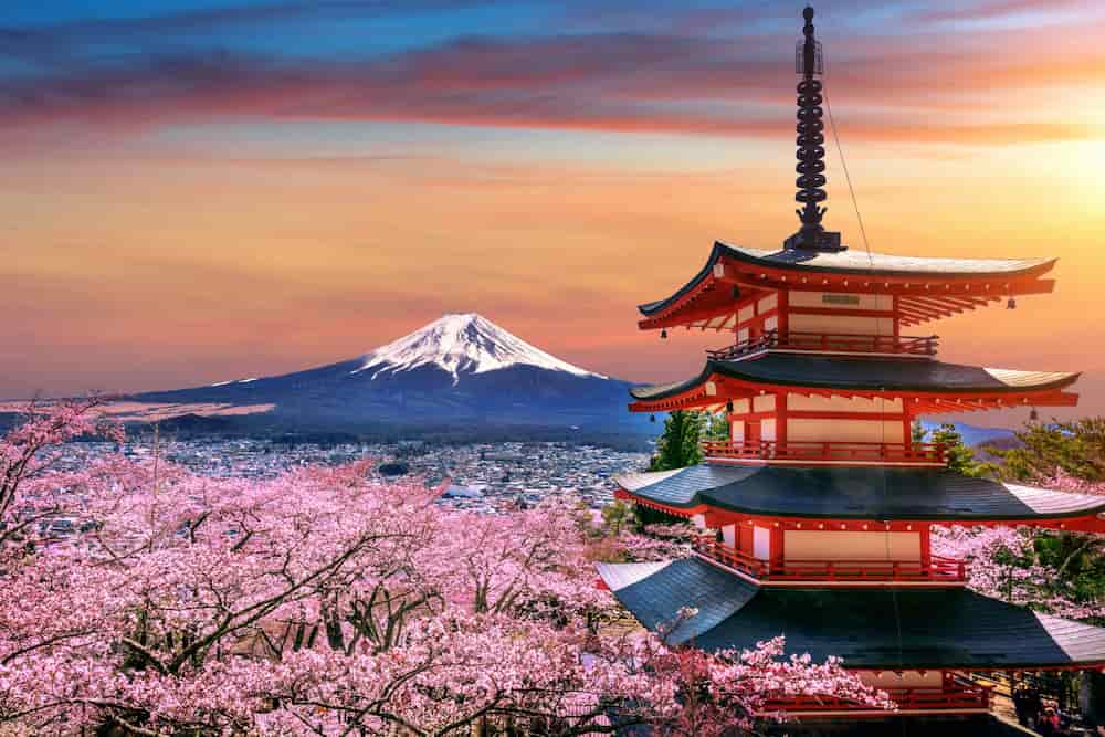 Sunset view of Mount Fuji behind Chureito Pagoda surrounded by pink cherry blossoms in Fujiyoshida, Japan.